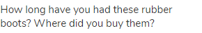 How long have you had these rubber boots? Where did you buy them?