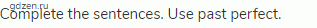 Complete the sentences. Use past perfect.