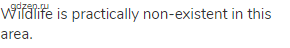Wildlife is practically non-existent in this area.