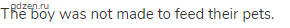 The boy was not made to feed their pets.