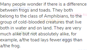 Many people wonder if there is a difference between frogs and toads. They both belong to the class