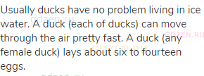 Usually ducks have no problem living in ice water. A duck (each of ducks) can move through the air