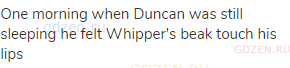 One morning when Duncan was still sleeping he felt Whipper's beak touch his lips