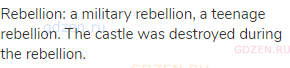 rebellion: a military rebellion, a teenage rebellion. The castle was destroyed during the rebellion.