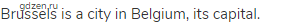 Brussels is a city in Belgium, its capital.