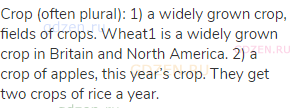 crop (often plural): 1) a widely grown crop, fields of crops. Wheat1 is a widely grown crop in