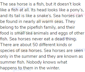 The sea horse is a fish, but it doesn’t look like a fish at all. Its head looks like a pony’s,