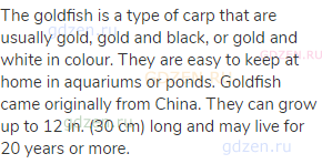 The goldfish is a type of carp that are usually gold, gold and black, or gold and white in colour.