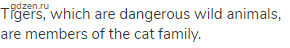 Tigers, which are dangerous wild animals, are members of the cat family.