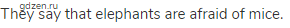 They say that elephants are afraid of mice.