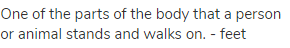 One of the parts of the body that a person or animal stands and walks on. - feet