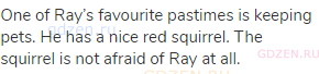 One of Ray’s favourite pastimes is keeping pets. He has a nice red squirrel. The squirrel is not