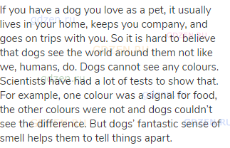 If you have a dog you love as a pet, it usually lives in your home, keeps you company, and goes on