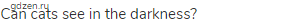 Can cats see in the darkness?
