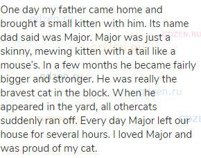 One day my father came home and brought a small kitten with him. Its name dad said was Major. Major