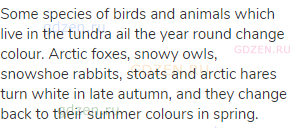 Some species of birds and animals which live in the tundra ail the year round change colour. Arctic