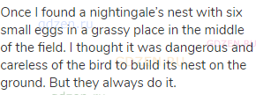 Once I found a nightingale’s nest with six small eggs in a grassy place in the middle of the