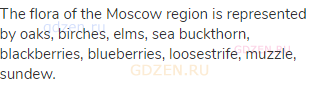The flora of the Moscow region is represented by oaks, birches, elms, sea buckthorn, blackberries,