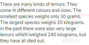 There are many kinds of lemurs. They come in different colours and sizes. The smallest species