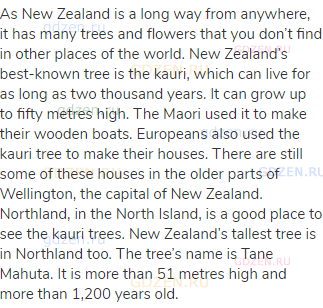 As New Zealand is a long way from anywhere, it has many trees and flowers that you don’t find in