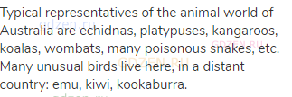 Typical representatives of the animal world of Australia are echidnas, platypuses, kangaroos,