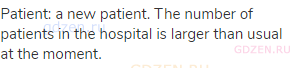 patient: a new patient. The number of patients in the hospital is larger than usual at the moment.