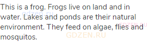 This is a frog. Frogs live on land and in water. Lakes and ponds are their natural environment. They