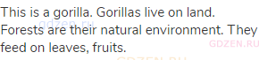This is a gorilla. Gorillas live on land. Forests are their natural environment. They feed on