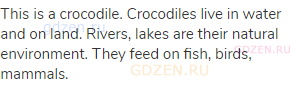This is a crocodile. Crocodiles live in water and on land. Rivers, lakes are their natural
