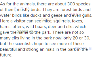 As for the animals, there are about 300 species of them, mostly birds. They are forest birds and