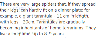 There are very large spiders that, if they spread their legs, can hardly fit on a dinner plate: for