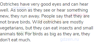 Ostriches have very good eyes and can hear well. As soon as they see or hear something new, they run