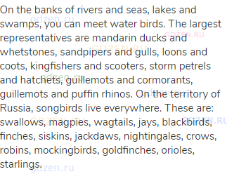 On the banks of rivers and seas, lakes and swamps, you can meet water birds. The largest
