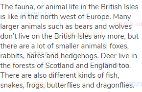 The fauna, or animal life in the British Isles is like in the north west of Europe. Many larger