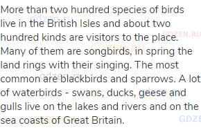 More than two hundred species of birds live in the British Isles and about two hundred kinds are