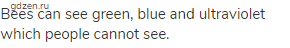 Bees can see green, blue and ultraviolet which people cannot see.