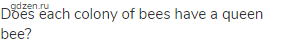 Does each colony of bees have a queen bee?