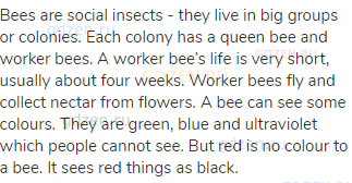 Bees are social insects - they live in big groups or colonies. Each colony has a queen bee and