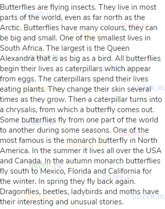 Butterflies are flying insects. They live in most parts of the world, even as far north as the