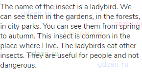 The name of the insect is a ladybird. We can see them in the gardens, in the forests, in city parks.
