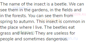 The name of the insect is a beetle. We can see them in the gardens, in the fields and in the