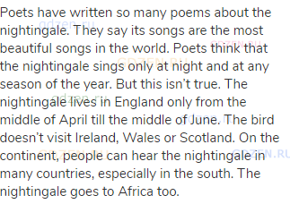 Poets have written so many poems about the nightingale. They say its songs are the most beautiful