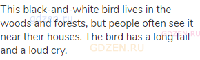 This black-and-white bird lives in the woods and forests, but people often see it near their houses.