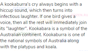 A kookaburra's cry always begins with a hiccup sound, which then turns into infectious laughter. If