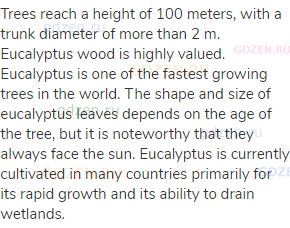 Trees reach a height of 100 meters, with a trunk diameter of more than 2 m. Eucalyptus wood is