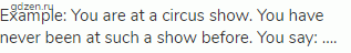 Example: You are at a circus show. You have never been at such a show before. You say: ….