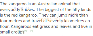 The kangaroo is an Australian animal that everybody knows. The biggest of the fifty kinds is the red