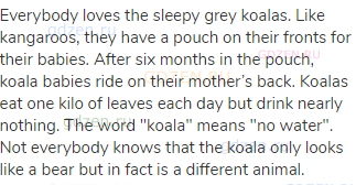 Everybody loves the sleepy grey koalas. Like kangaroos, they have a pouch on their fronts for their