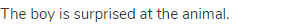The boy is surprised at the animal. 
