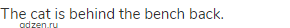The cat is behind the bench back. 